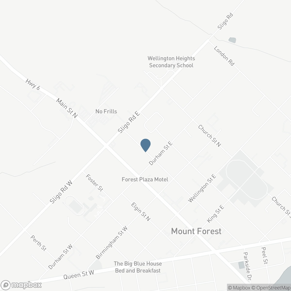 338 FERGUS STREET N, Mount Forest, Ontario N0G 2L2
